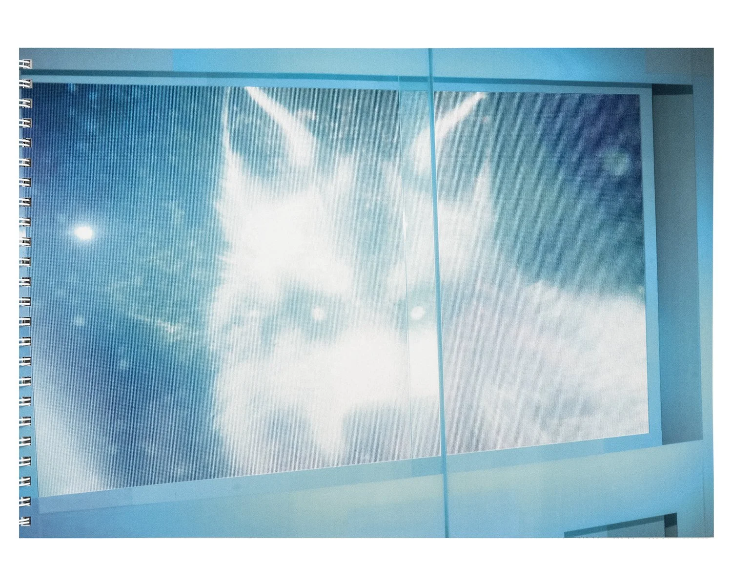 Instant Light: Tarkovsky Polaroids — bookdummypress